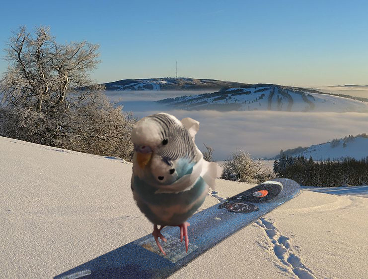 image éditée de Frosty sur une planche à neige